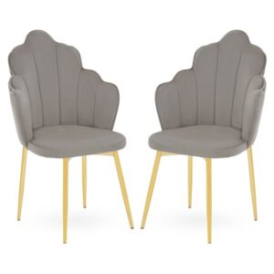 Tania Grey Velvet Dining Chairs With Gold Legs In A Pair