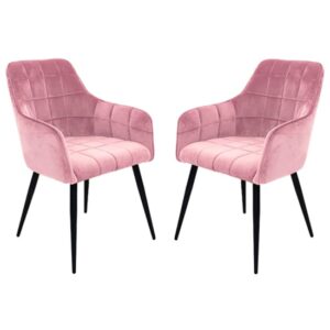 Vernal Blush Velvet Dining Chairs With Black Legs In Pair